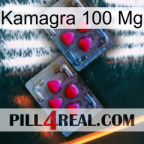 Kamagra100 Mg 14